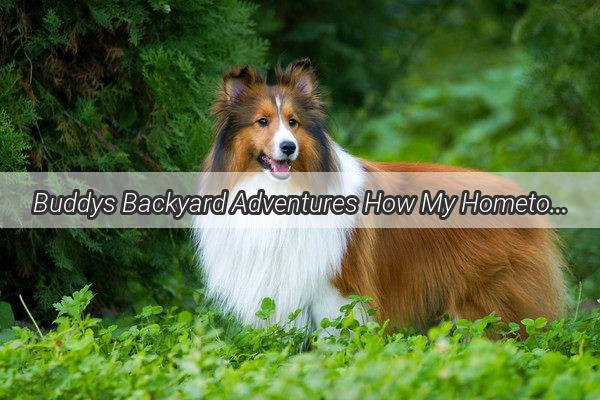 Buddys Backyard Adventures How My Hometown Pup Mastered the Art of Living Wild